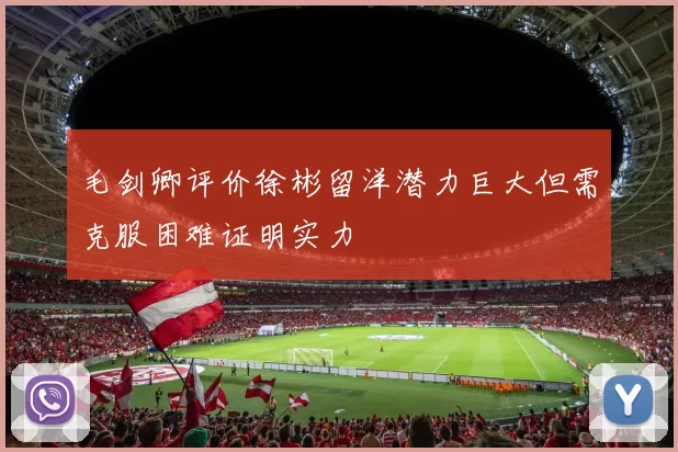 毛剑卿评价徐彬留洋潜力巨大但需克服困难证明实力