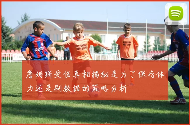 詹姆斯受伤真相揭秘是为了保存体力还是刷数据的策略分析
